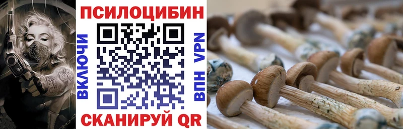 Псилоцибиновые грибы GOLDEN TEACHER Борисоглебск